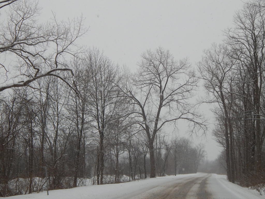 DSCN1159.jpg
