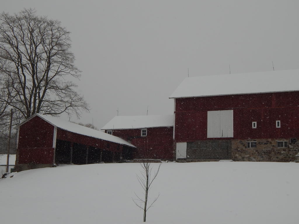 DSCN1163.jpg