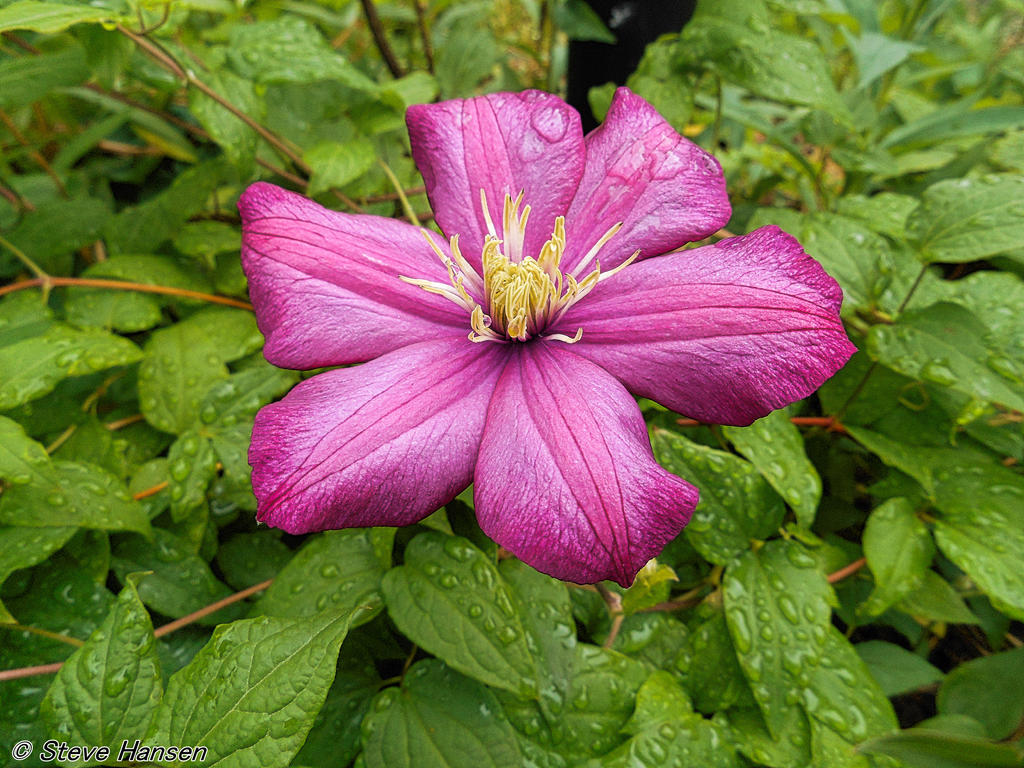 DSCN1165.jpg