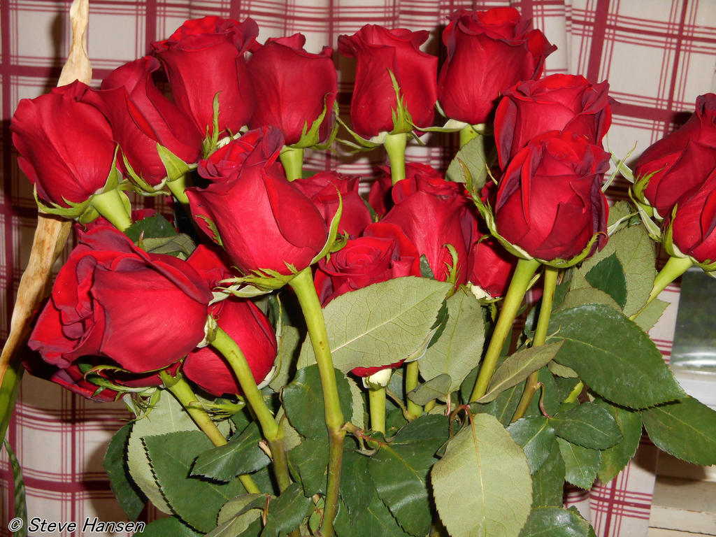 DSCN1179.jpg