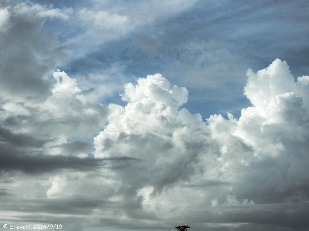 DSCN1179.jpg