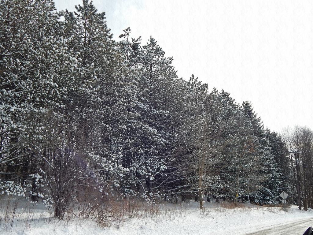 DSCN1181.jpg