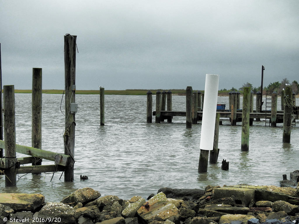 DSCN1186.jpg