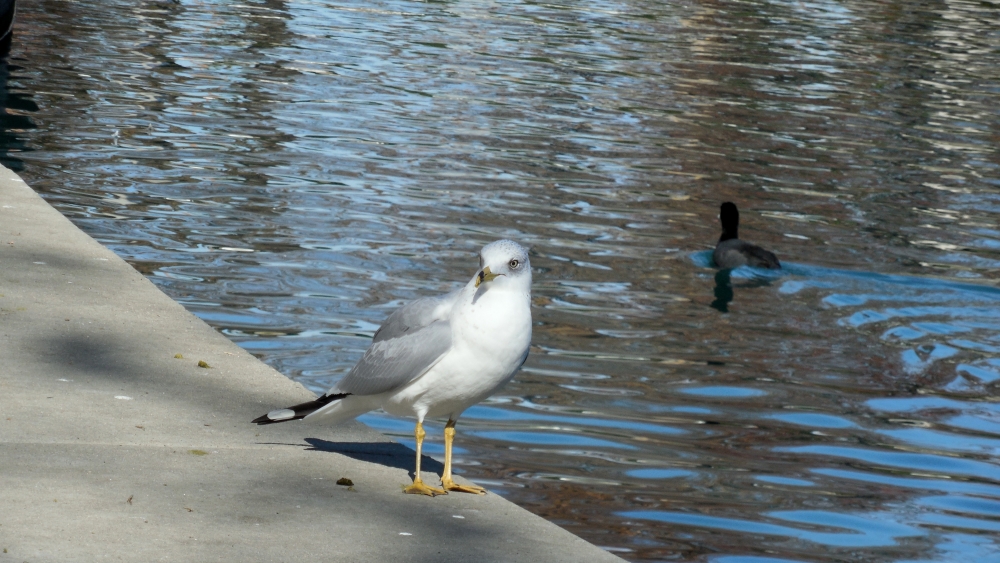 DSCN1187.JPG