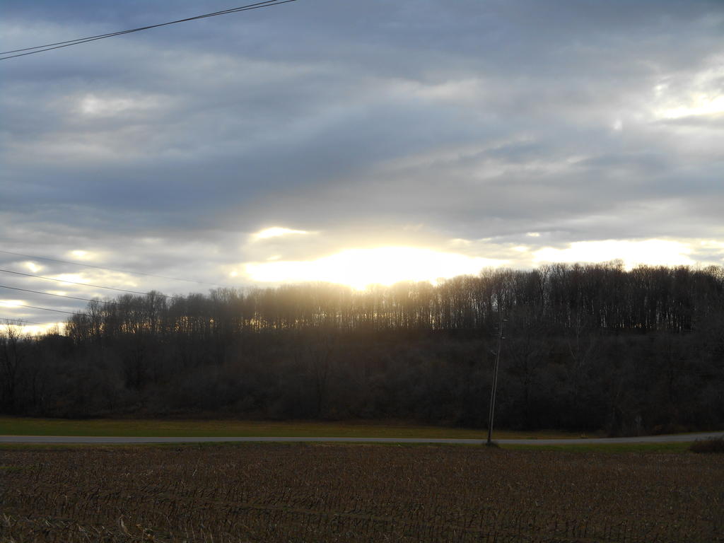 DSCN1196.jpg