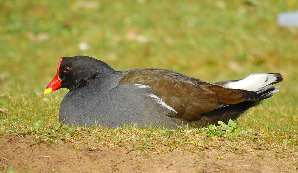 DSCN1200.jpg