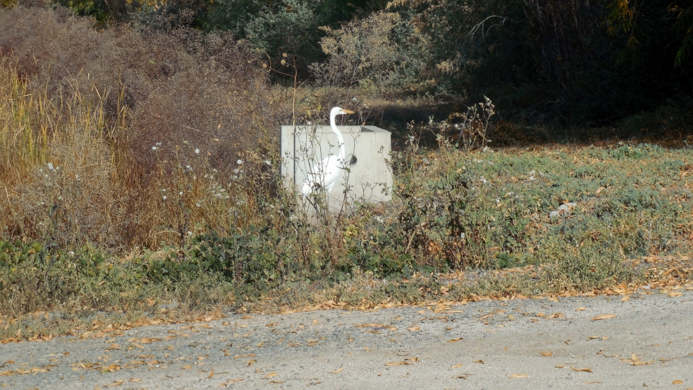 DSCN1215.JPG