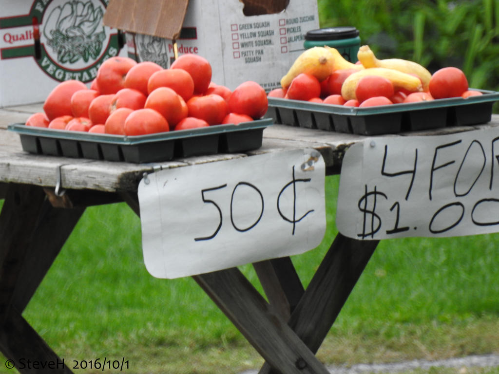 DSCN1218.jpg