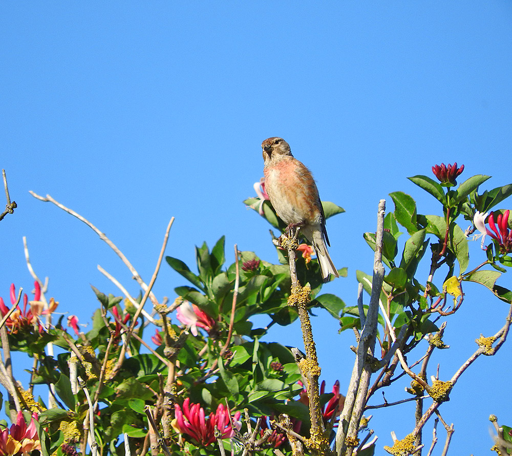 DSCN1225.jpg