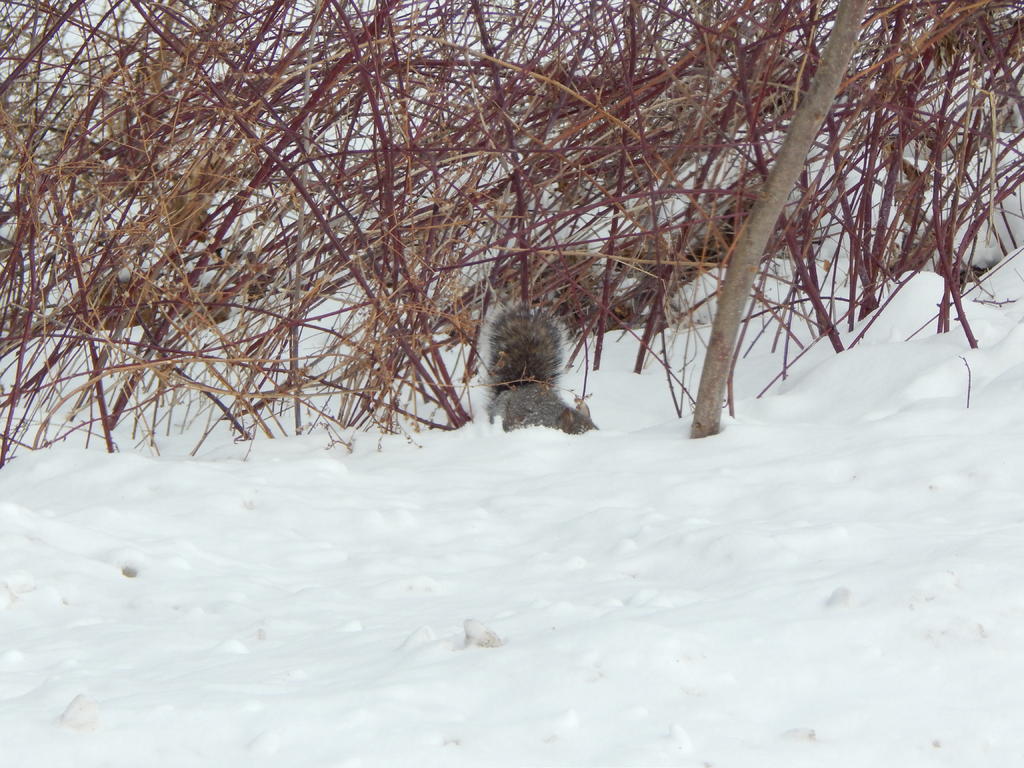 DSCN1235.jpg