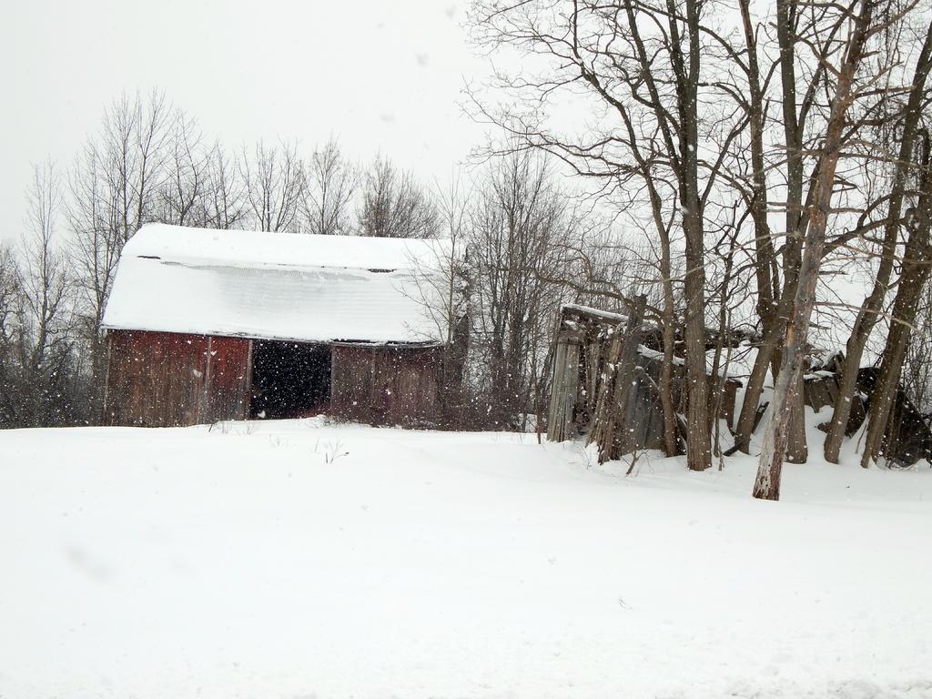 DSCN1241.jpg