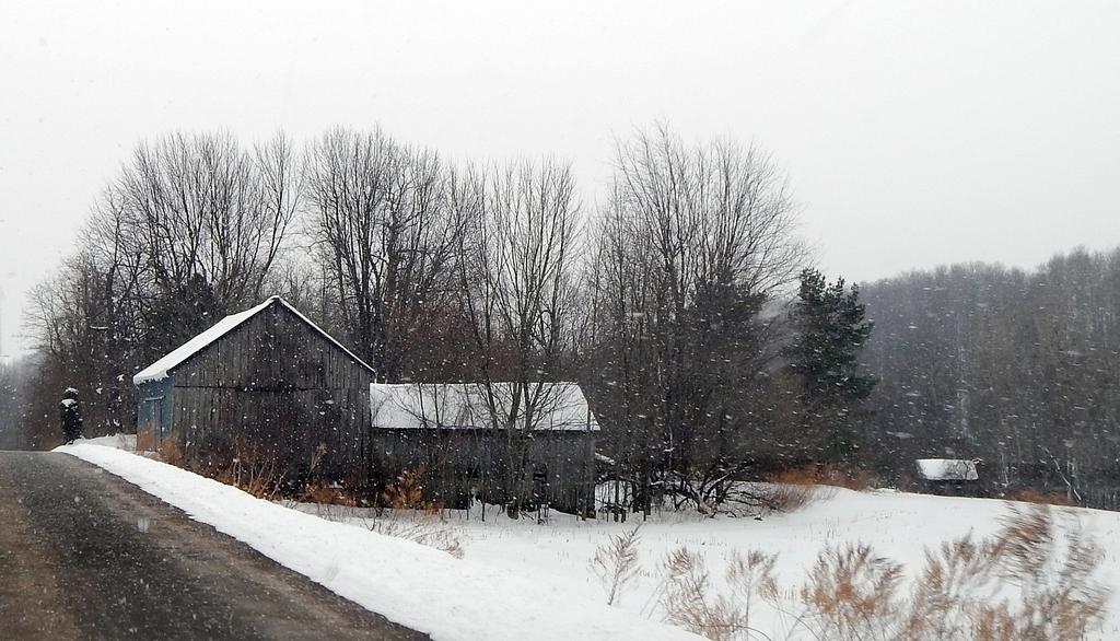 DSCN1242.jpg