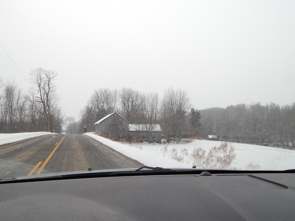 DSCN1242.jpg