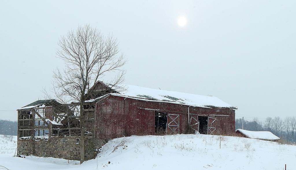 DSCN1243.jpg