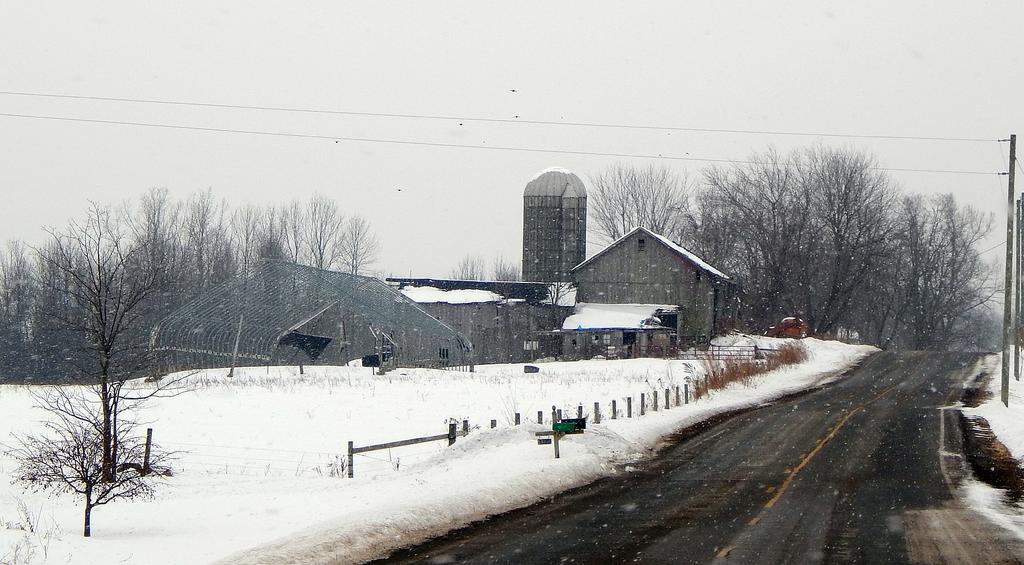 DSCN1244.jpg