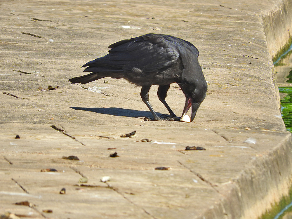 DSCN1246.jpg