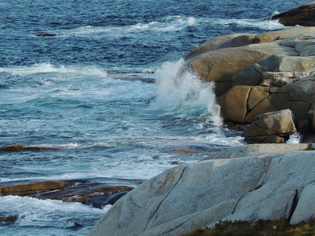 DSCN1247.jpg