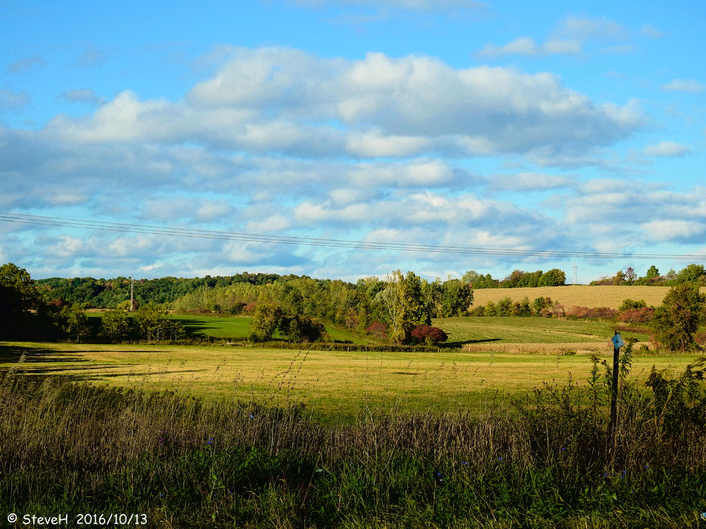 DSCN1250.jpg