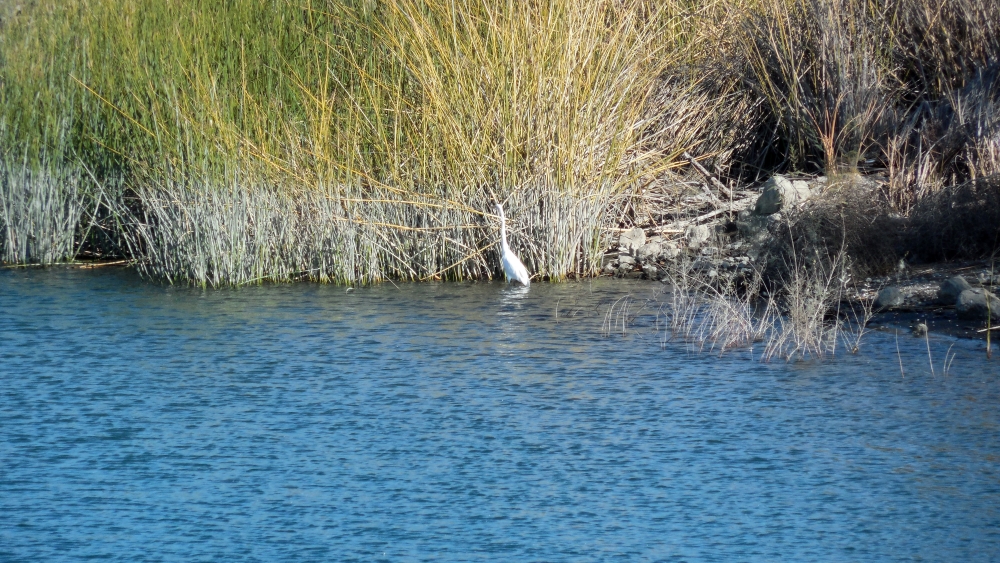 DSCN1252.JPG