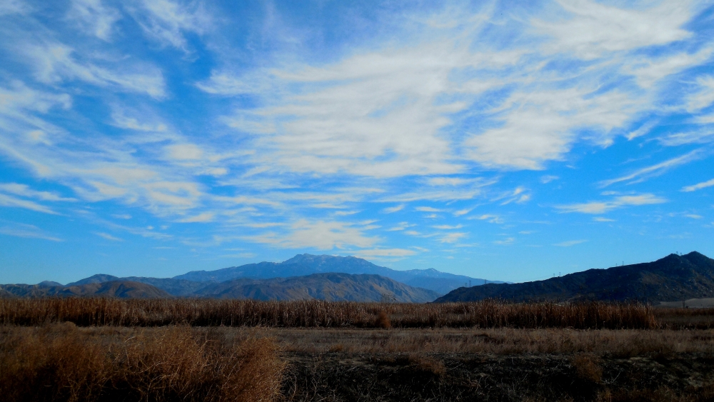DSCN1259.JPG
