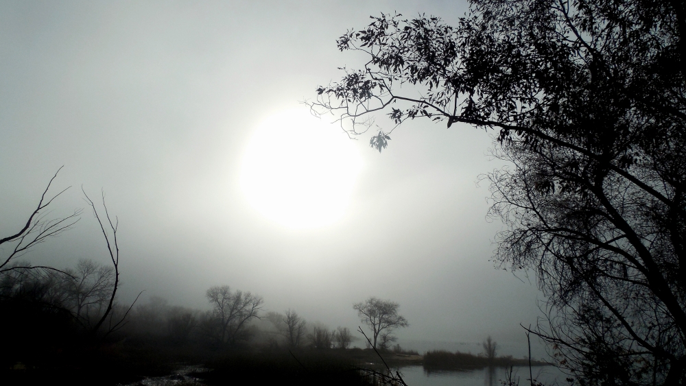 DSCN1265.JPG