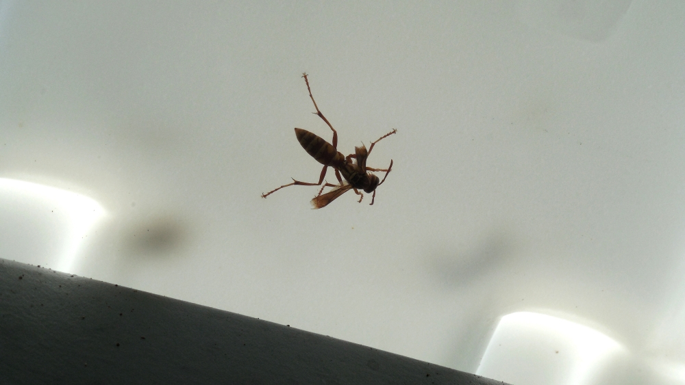 DSCN1276.JPG