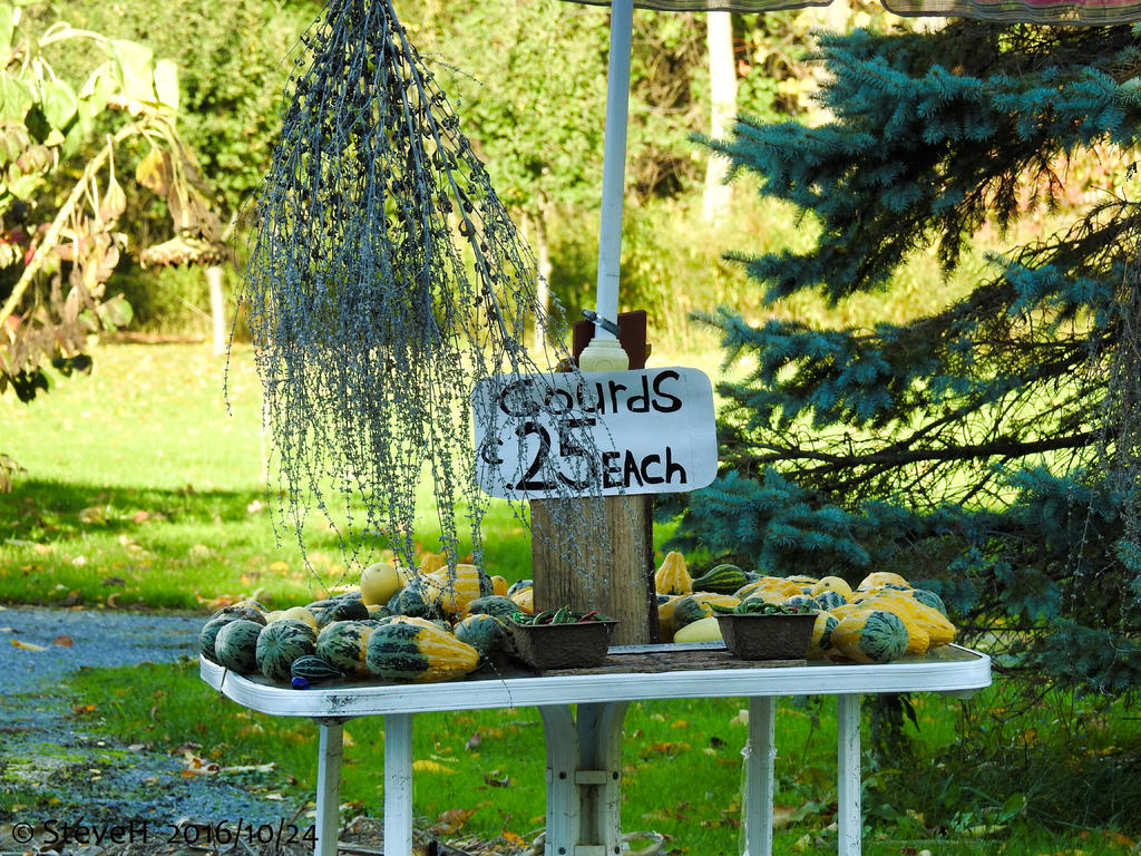 DSCN1276.jpg