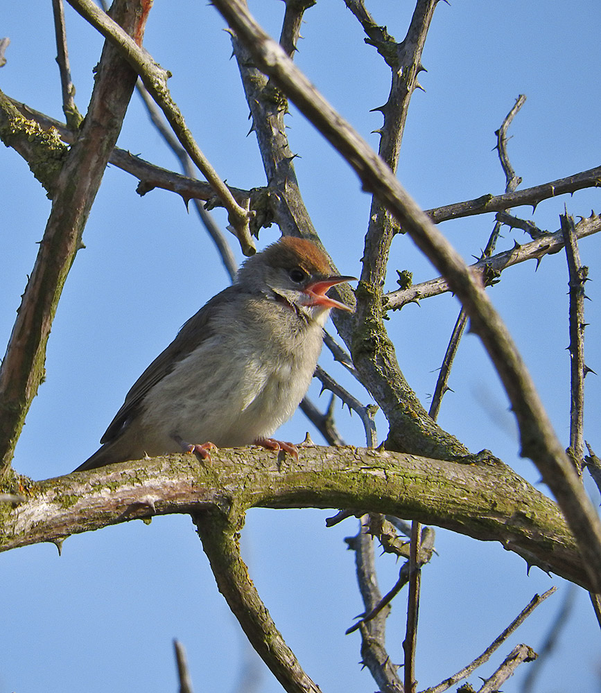 DSCN1290.jpg