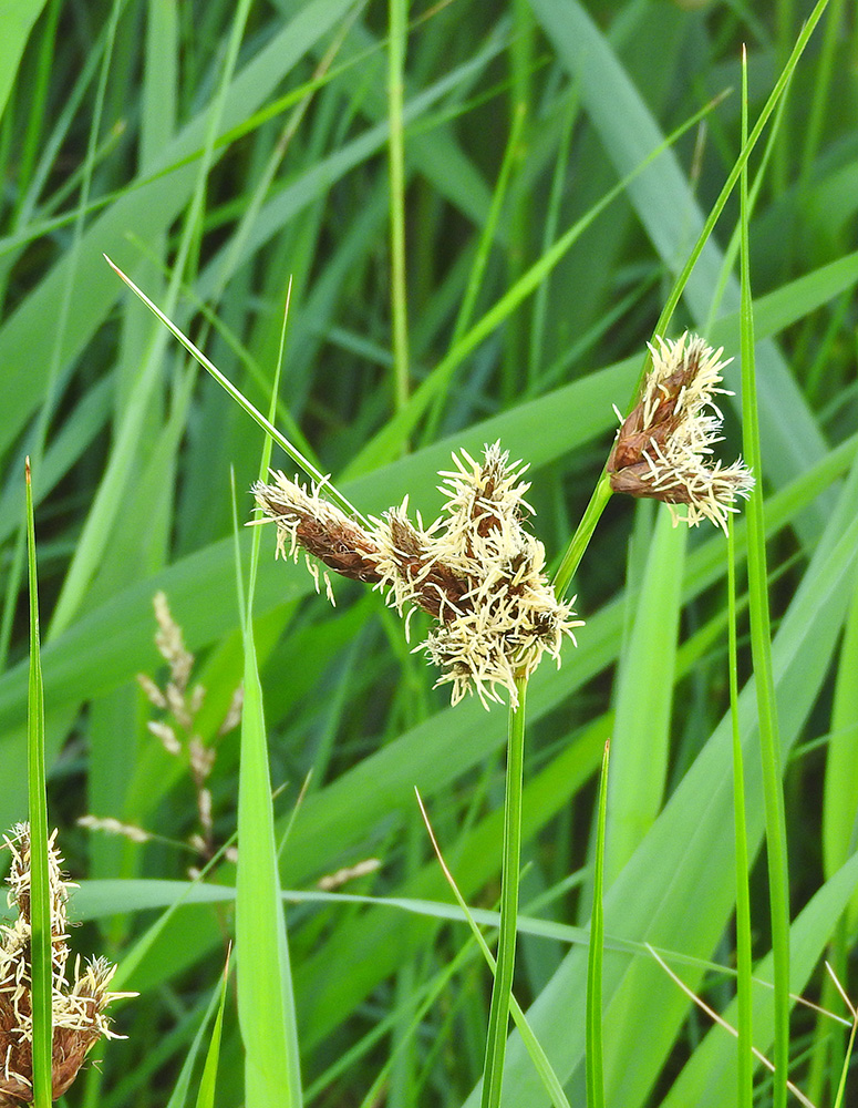 DSCN1308.jpg