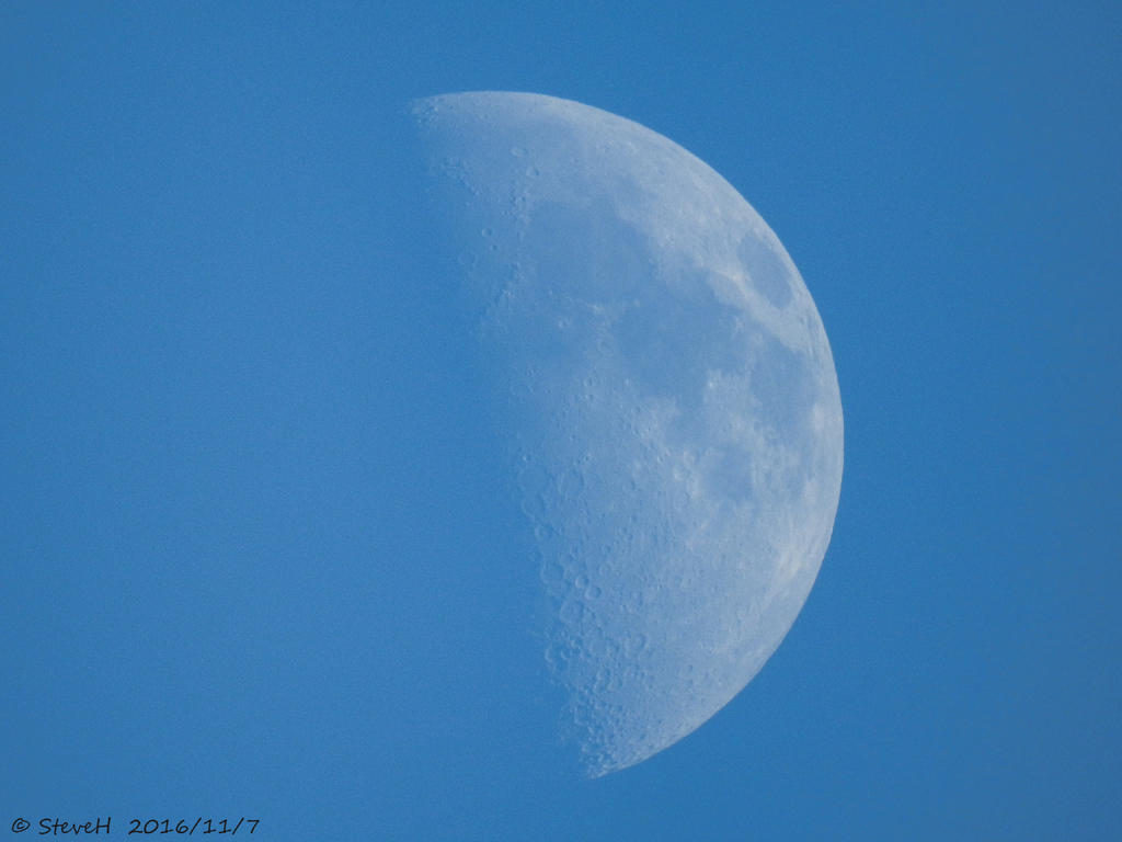 DSCN1320.jpg
