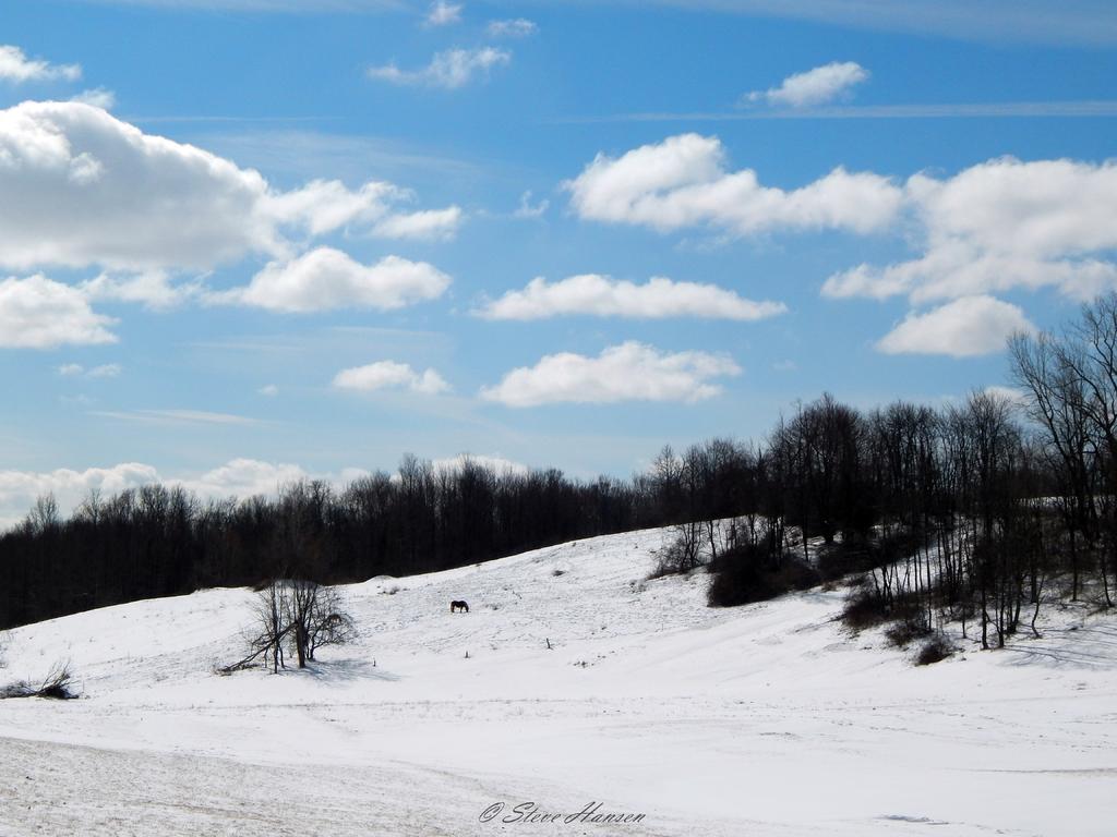 DSCN1340.jpg