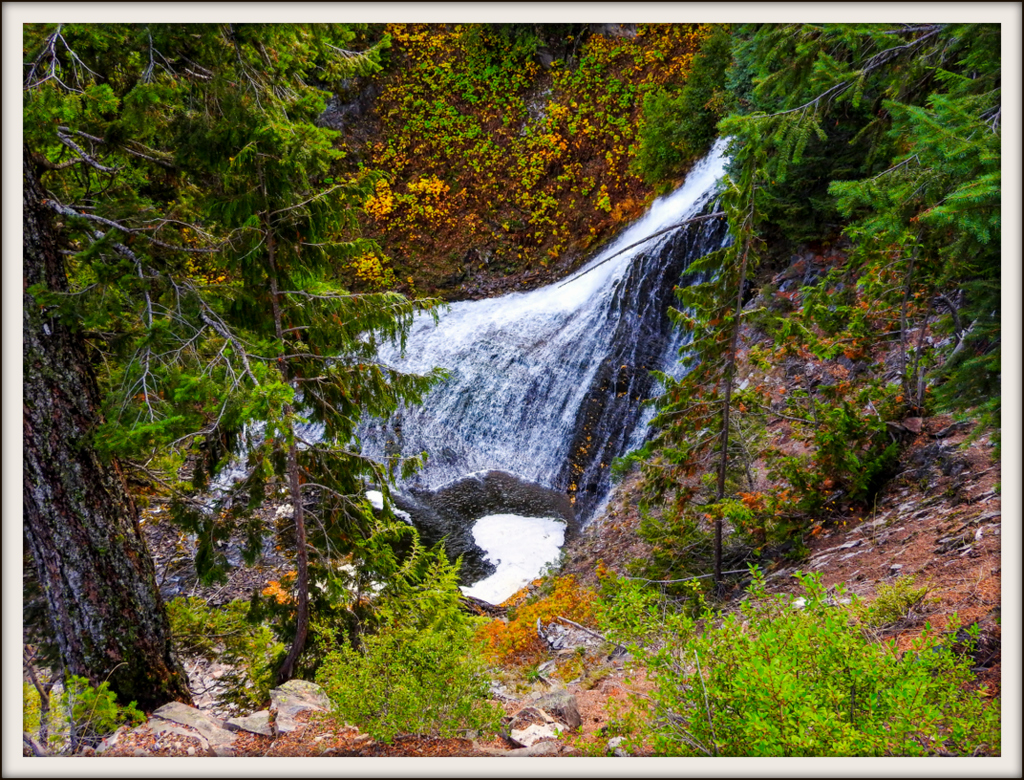 DSCN1358.jpg