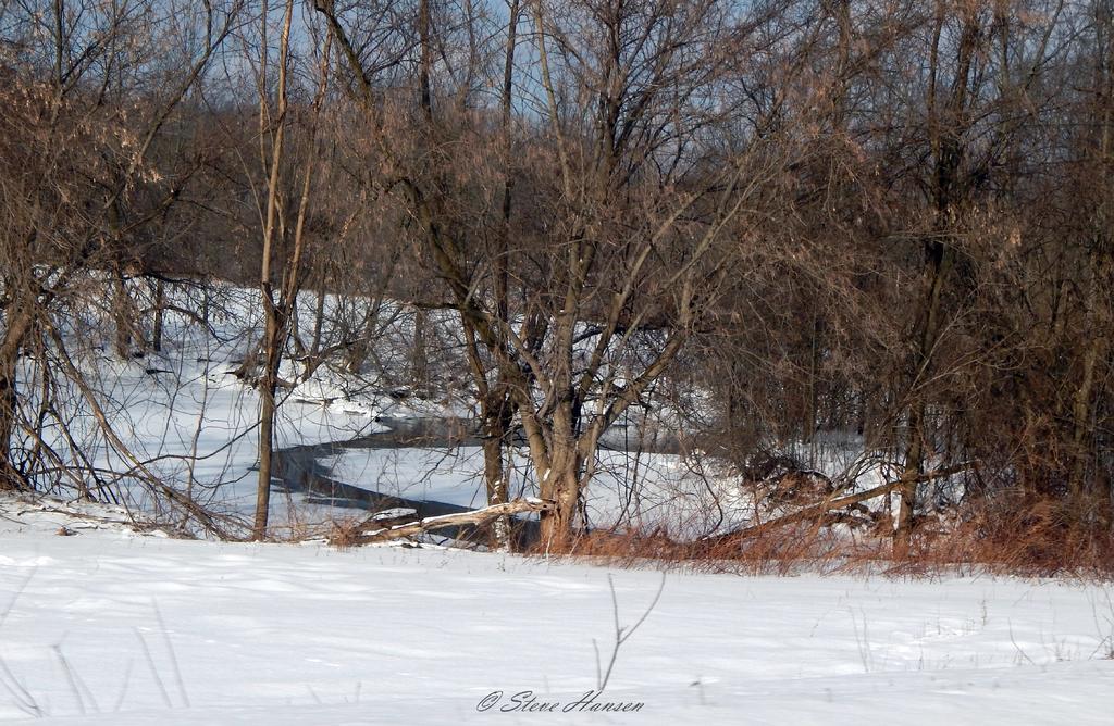 DSCN1363.jpg
