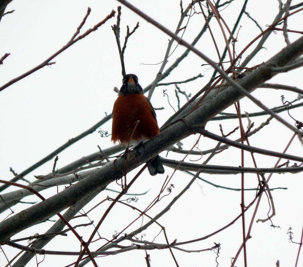 DSCN1379.jpg
