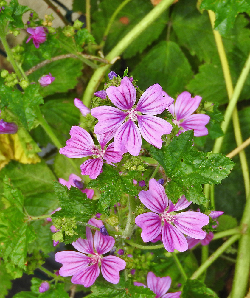 DSCN1392.jpg