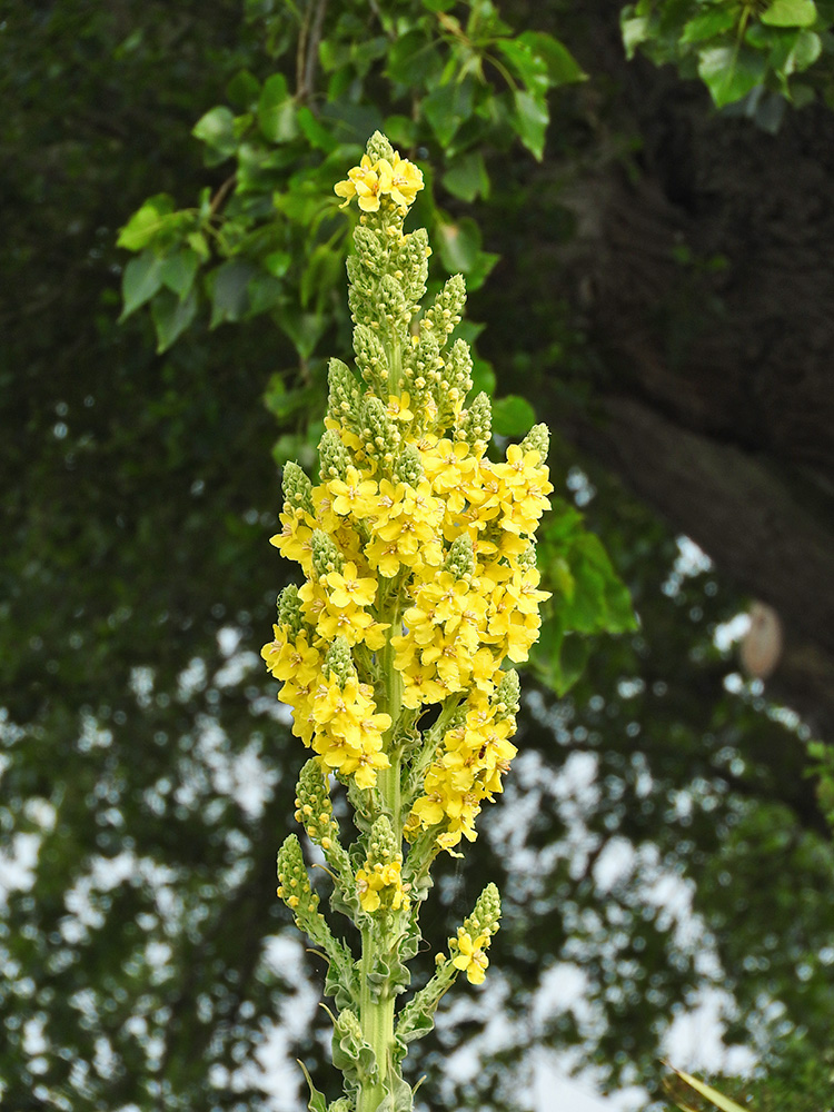 DSCN1399.jpg