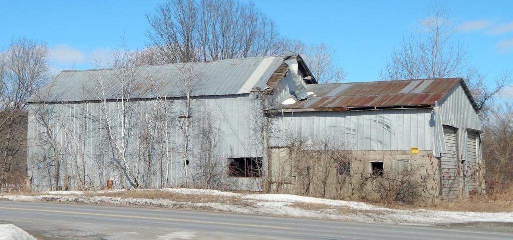 DSCN1423.jpg