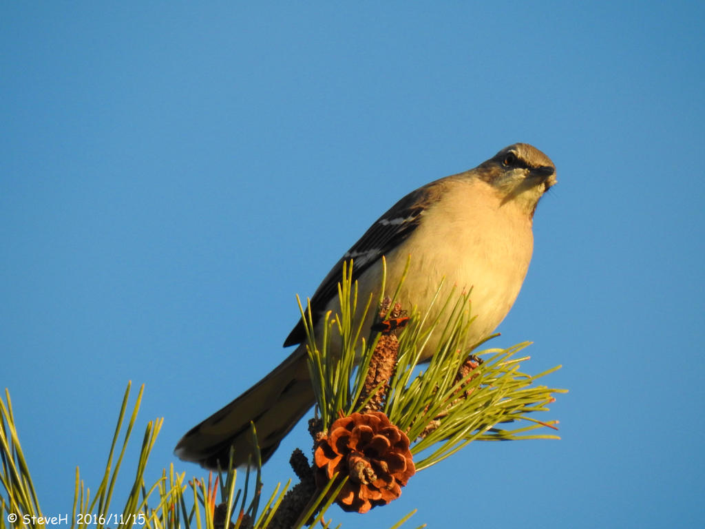DSCN1437.jpg