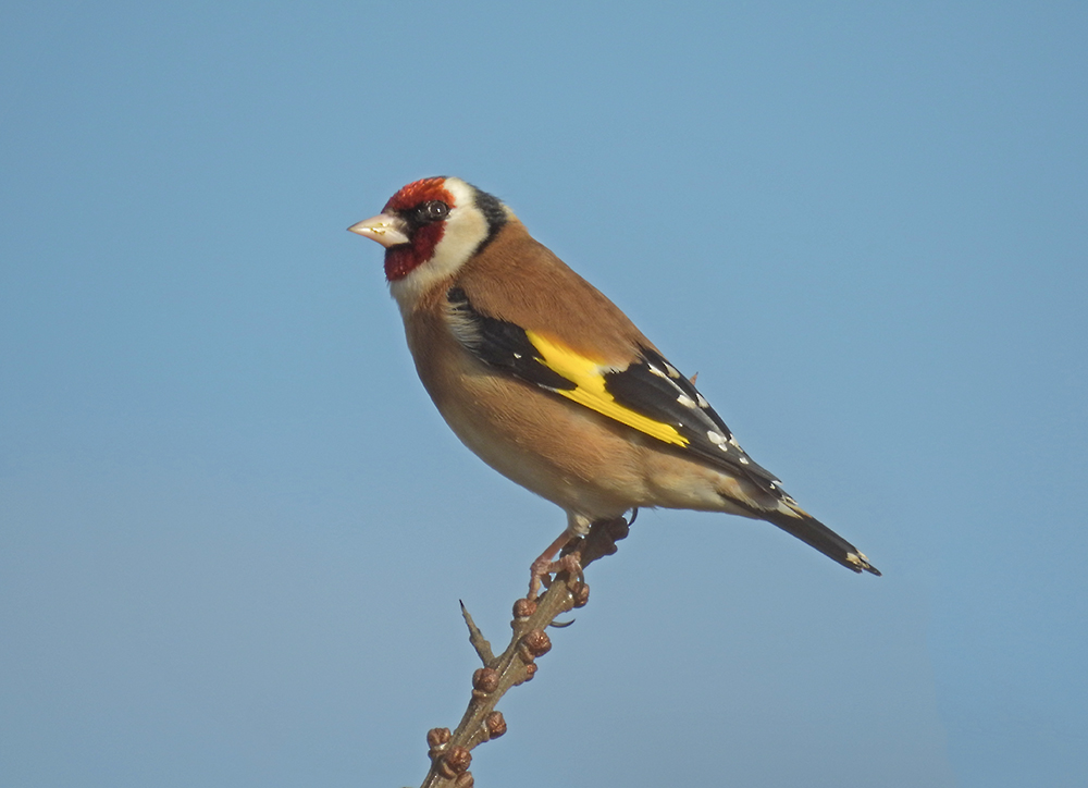 DSCN1458.jpg