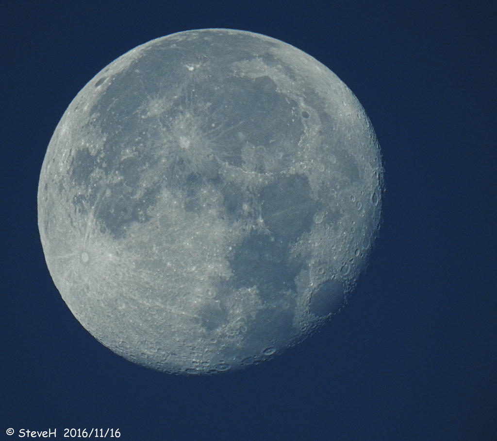 DSCN1466.jpg