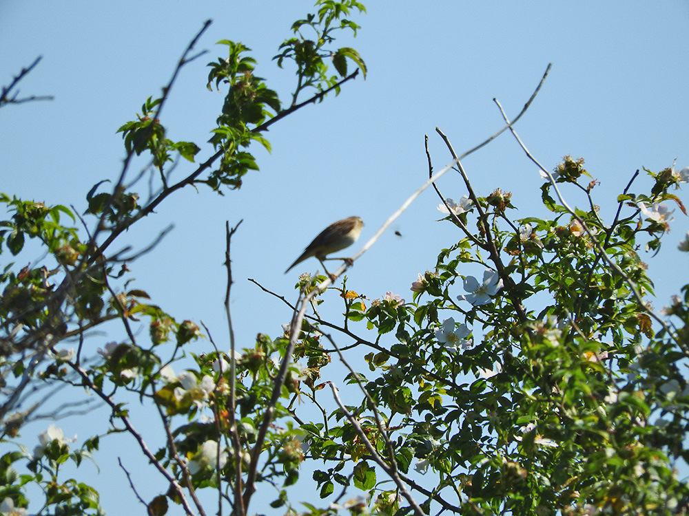 DSCN1481.jpg
