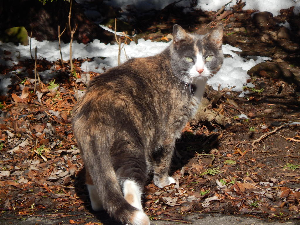DSCN1511.jpg