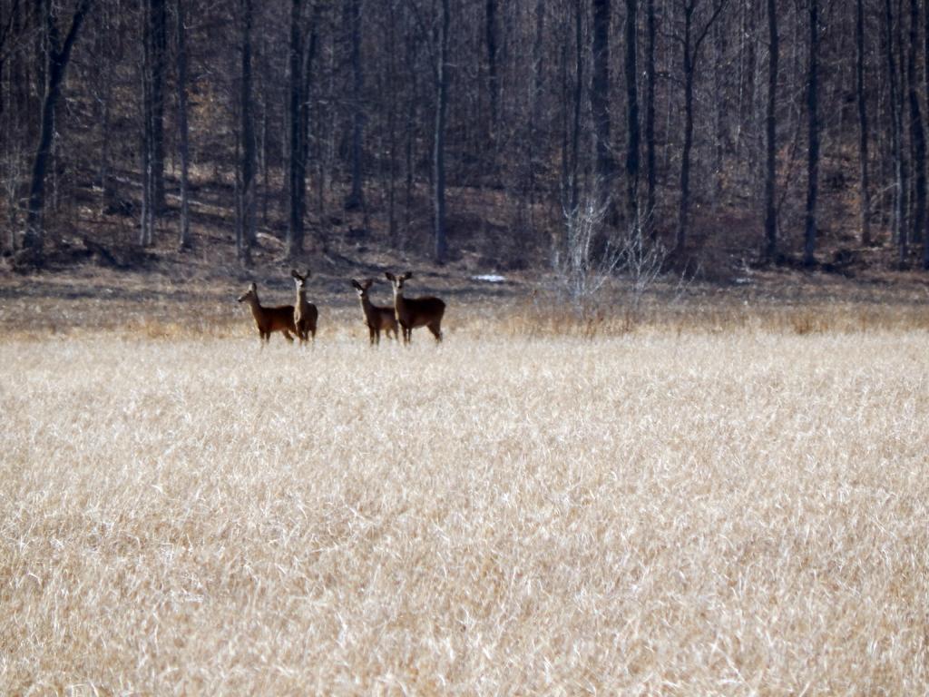 DSCN1518.jpg