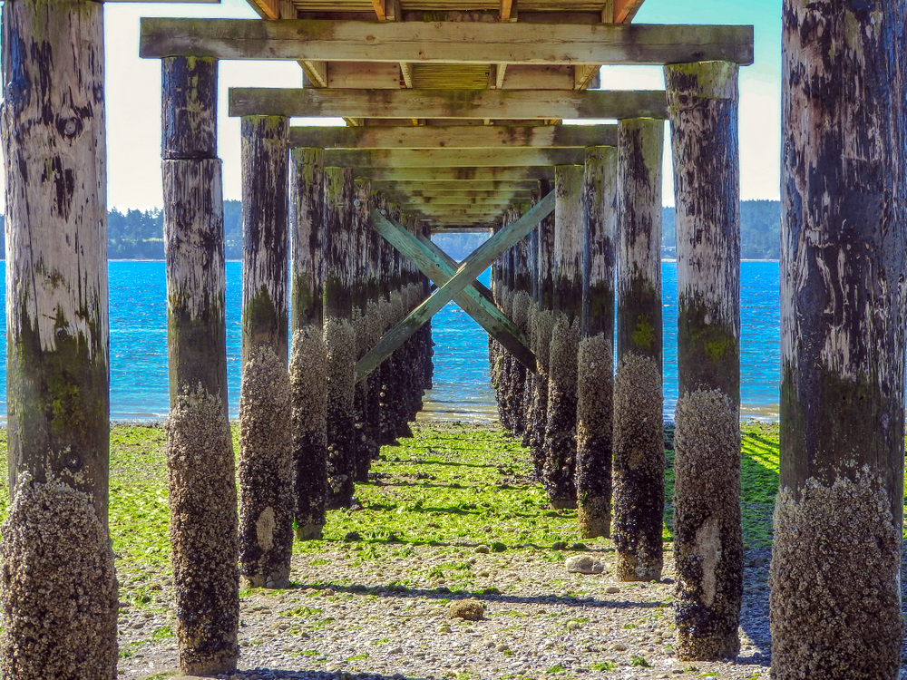 DSCN1543.jpg