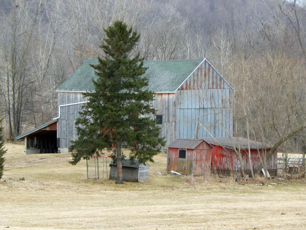 DSCN1548.jpg
