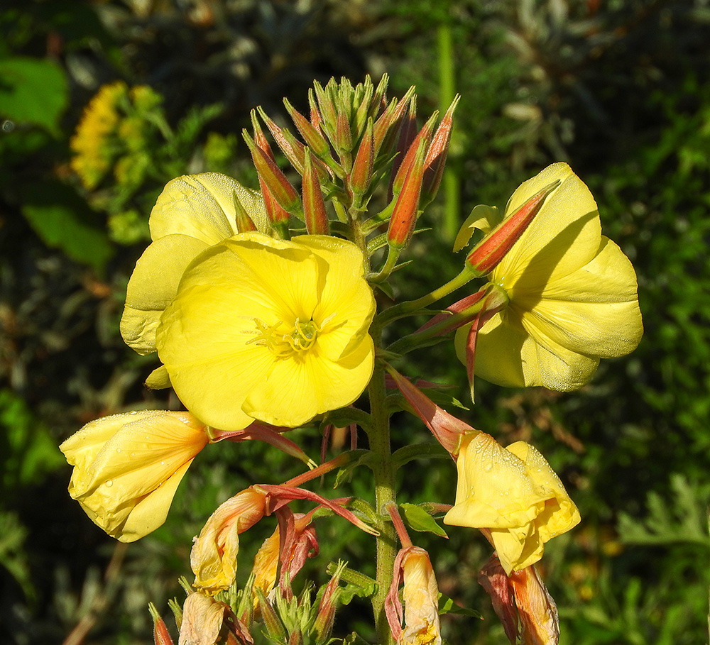 DSCN1552.jpg