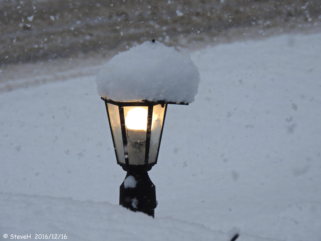 DSCN1560.jpg