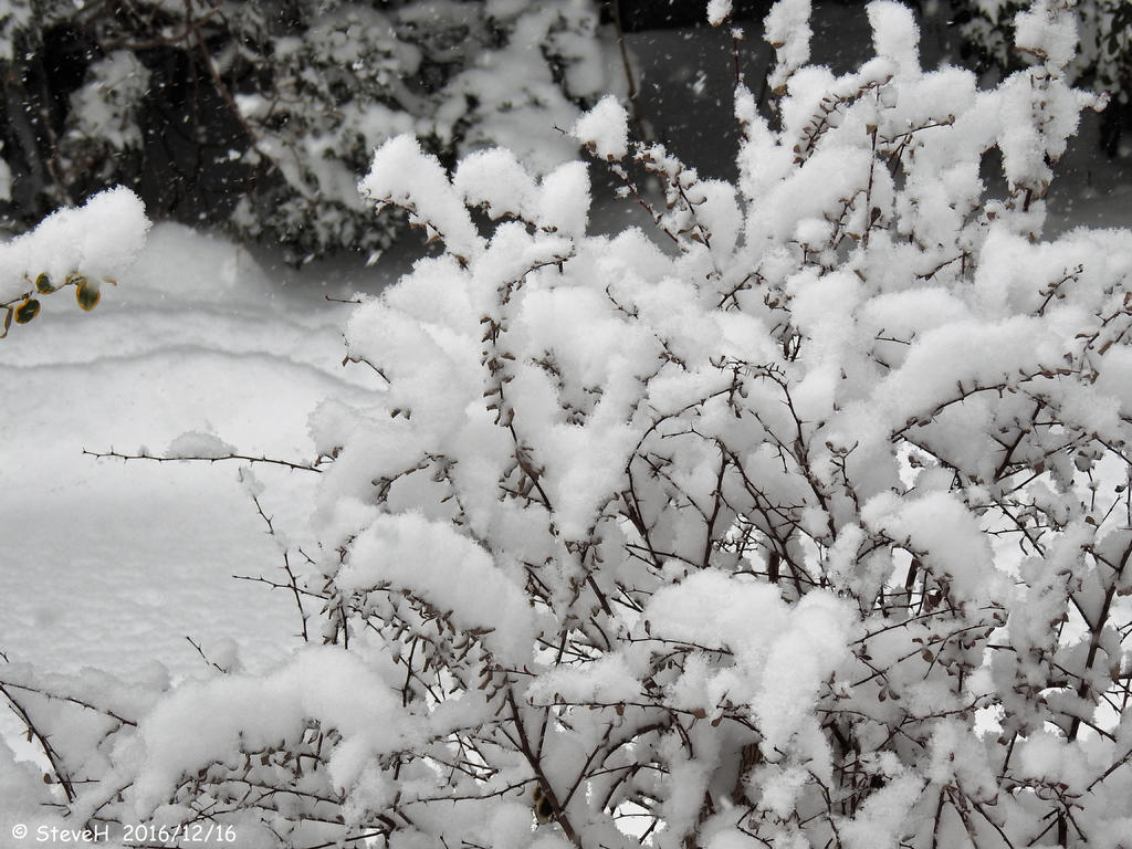 DSCN1562.jpg