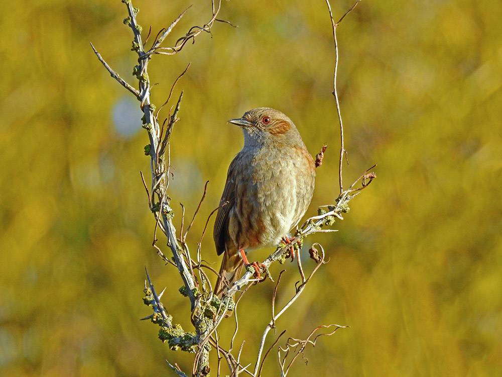 DSCN1570.jpg