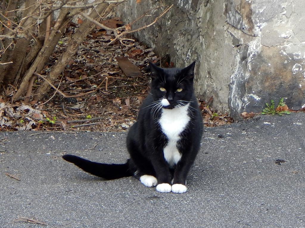 DSCN1570.jpg
